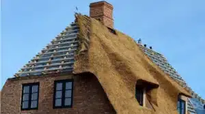 Building Materials That Block Mobile Signals